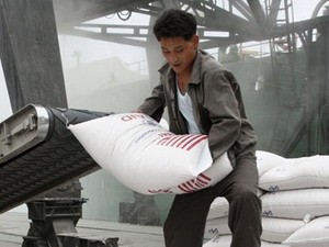 The US may consider resuming food aid to North Korea - ảnh 1